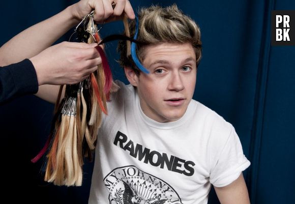 Niall Horan : le One Direction en a assez que ses fans lui crient au visage