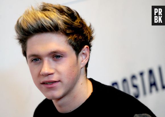Niall Horan : le One Direction en a assez que ses fans lui crient au visage