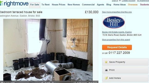 Vends maison à 150 000 euros... plants de cannabis inclus