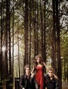 Vampire Diaries saison 5 : Klaus de retour pour l'épisode 100 ?