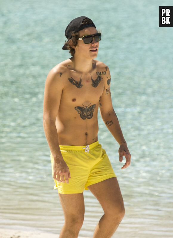 One Direction : Harry Styles torse nu