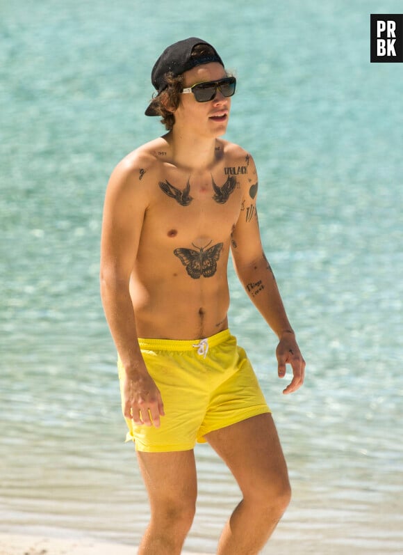 One Direction : Harry Styles torse nu