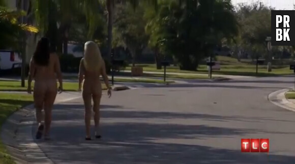 Une version nudiste de Recherche apparement ou maison lancée ce mercredi 20 novembre aux Etats-Unis