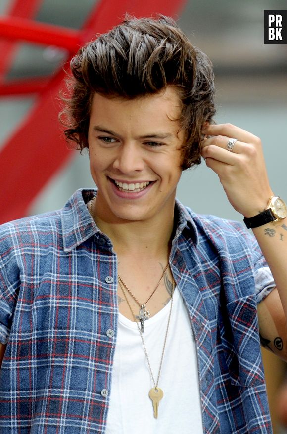 Harry Styles célibataire : Kendall Jenner, une simple amie