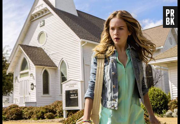 Under the Dome : les théories sur le dome