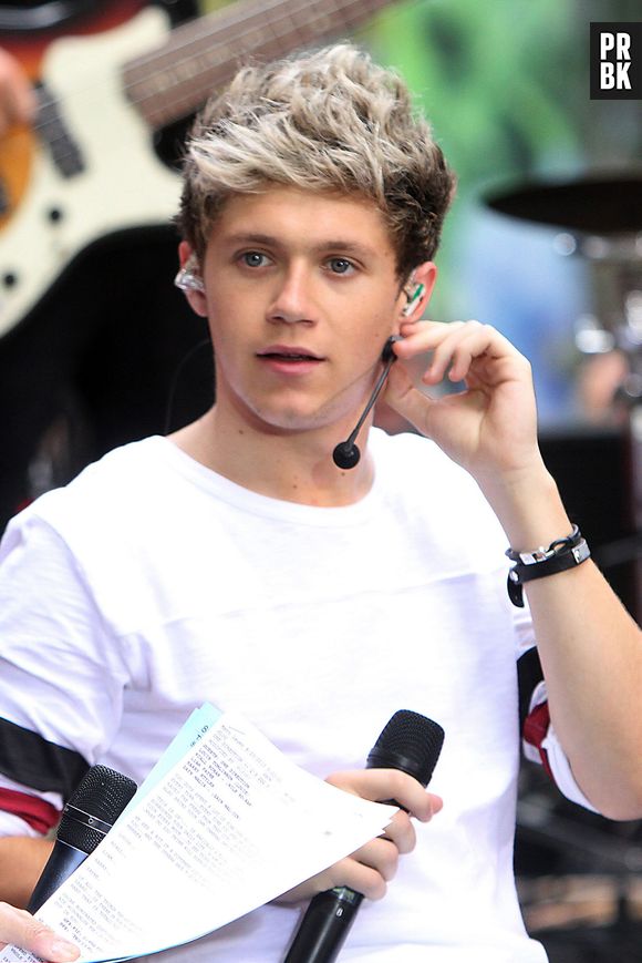 Niall Horan bientôt star de télé-réalité ?