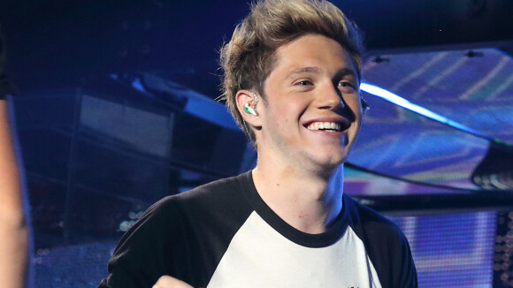 Niall Horan bientôt star de télé-réalité ?