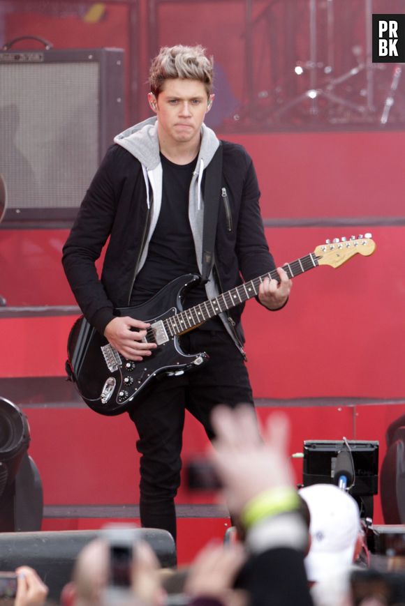 Niall Horan bientôt star de télé-réalité ?