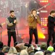 Les One Direction étaient en concert à Central Park à New York le 26 novembre 2013