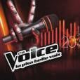 The Voice 3 : nouveau prime ce samedi 1er février