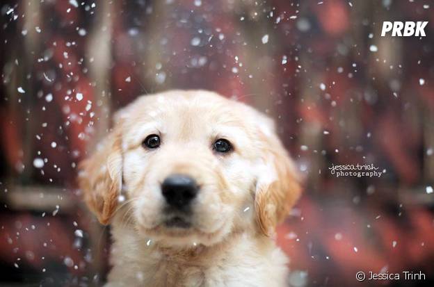 Let it rain 7