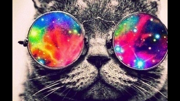 Cats On Trees, Nikky Yanofsky, Cris Cab... #Playlist #41