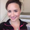 Demi Lovato insultée de grosse