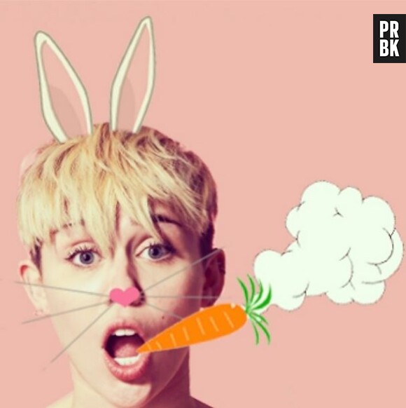Miley Cyrus : un montage photo en lapine avec une carotte dans la bouche pour Pâques 2014