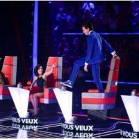The Voice - Mika, Jenifer, Garou, Florent Pagny : les salaires des jurés