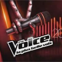 The Voice 3 : votes, chansons, ce qu&#039;il faut savoir sur la demi-finale