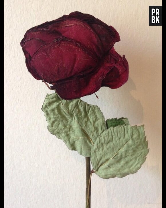 Le Bachelor 2014 : Alix a posté une photo de la dernière rose qu'elle a reçu