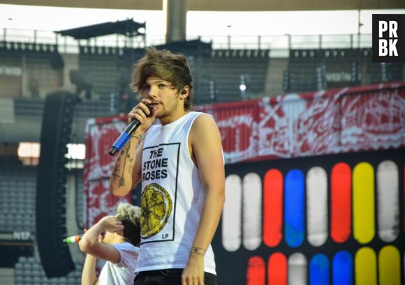 Les One Direction en concert au Stade de France avec le Where We Are Tour, le 20 juin 2014