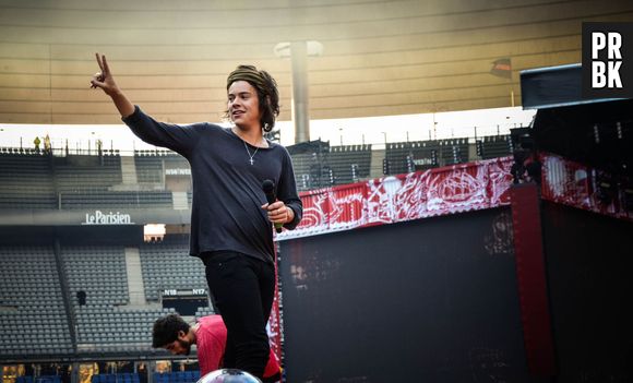 Les One Direction en concert au Stade de France avec le Where We Are Tour, le 20 juin 2014