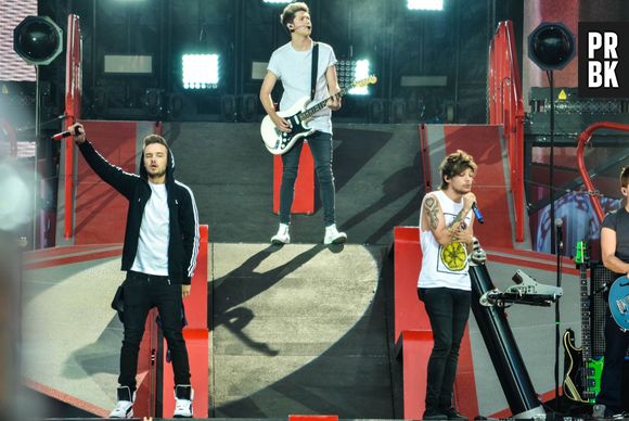 Les One Direction en concert au Stade de France avec le Where We Are Tour, le 20 juin 2014