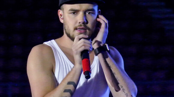 Liam Payne complètement nu sur Instagram (ou presque)