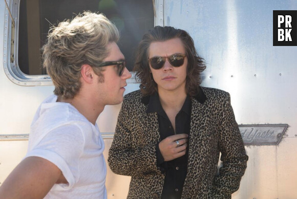 Harry Styles (One Direction) en mode léopard dans le clip de Steal My Girls
