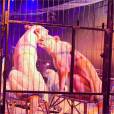 Leila Ben Khalifa et Aymeric Bonnery : couple complice lors d'une soirée au cirque Pinder, le 7 décembre 2014