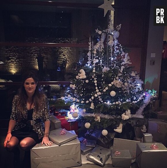 Capucine Anav souhaite un Joyeux Noël à ses fans sur Instagram, le 25 décembre 2014