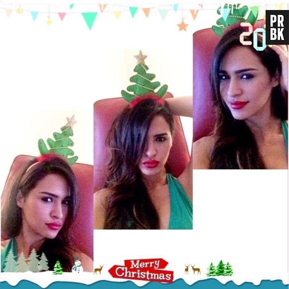 Leila Ben Khalifa souhaite un Joyeux Noël à ses fans sur Twitter, le 25 décembre 2014