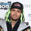Chris Brown : une fusillade fait cinq blessés pendant un concert à San José, dans la nuit du 10 au 11 janvier 2015