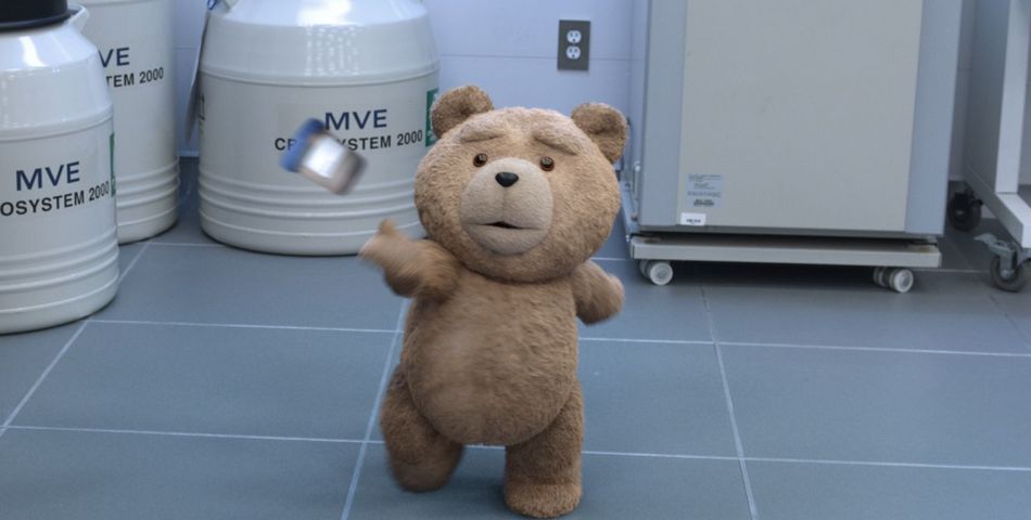 Ted nounours hot sale