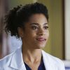 Grey's Anatomy saison 11, épisode 12 : Maggie sur une photo