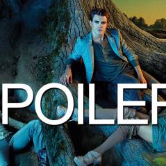 The Vampire Diaries saison 6 : Damon en mode grand frère protecteur avec Stefan
