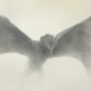 Game of Thrones saison 5, l&#039;énorme fuite : les 4 premiers épisodes déjà dispo illégalement