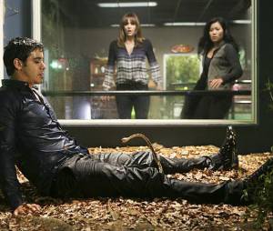 Scorpion saison 1 : Elyes Gabel (Walter) en danger