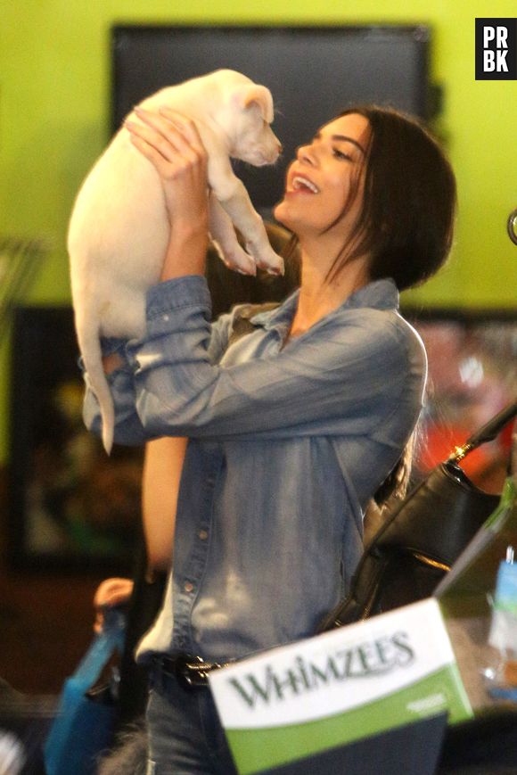 Kendall Jenner adopte un bébé chiot à Los Angeles, le 14 juin 2015