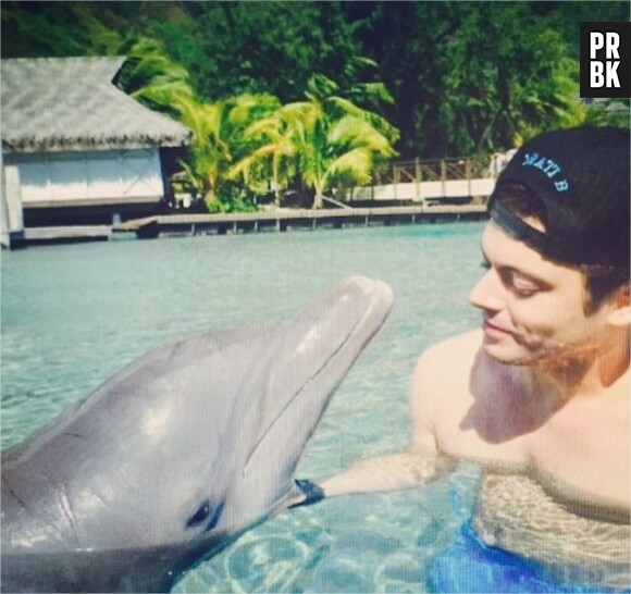 Kev Adams nage avec des dauphins sur Instagram le 18 juin 2015