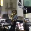 Miley Cyrus et Stella Maxwell en couple : baiser passionné à L.A en juin 2015