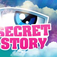 Secret Story 9 : un acteur porno, un chanteur et Youtubeur parmi les candidats ?