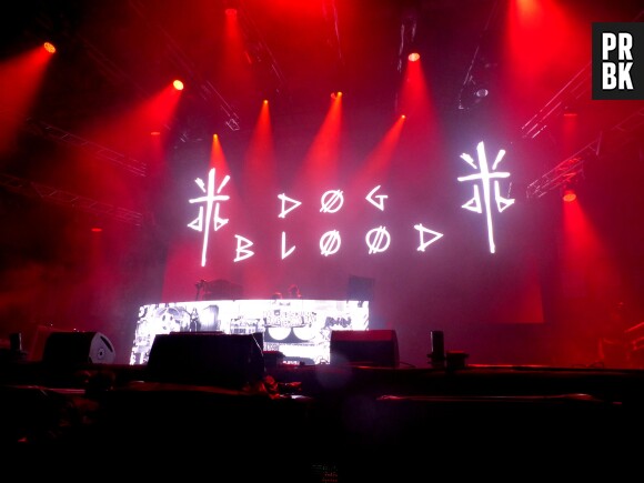 Dog Blood (Skrillex et Boys Noize) en concert au festival Lollapalooza 2015 à Berlin, le 12 septembre 2015