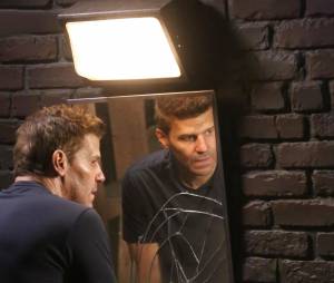 Bones saison 11, épisode 2 : David Boreanaz sur une photo