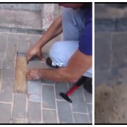 Héroïque : il libère un chien enterré vivant depuis des jours sous un trottoir !