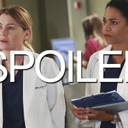 Grey&#039;s Anatomy saison 12 : bientôt un nouveau couple à l&#039;hôpital ?