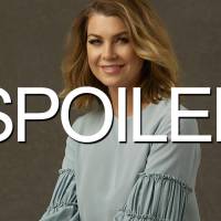 Grey's Anatomy saison 12 : bientôt un nouvel amoureux pour Meredith ?