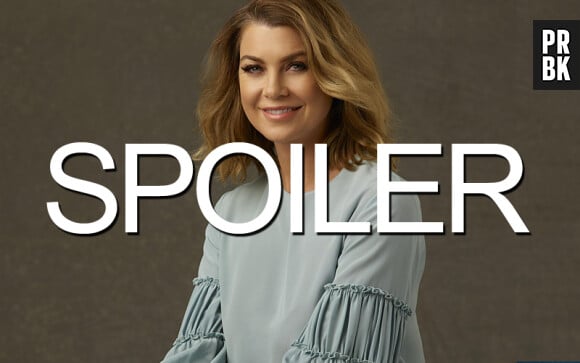 Grey's Anatomy saison 12 : bientôt un nouvel amoureux pour Meredith ?