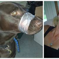 Elle punit son chien en le muselant avec du ruban adhésif : la photo qui choque les réseaux sociaux