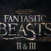 Harry Potter : Les Animaux Fantastiques sera une trilogie au cinéma