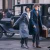 Les Animaux Fantastiques : future trilogie au cinéma