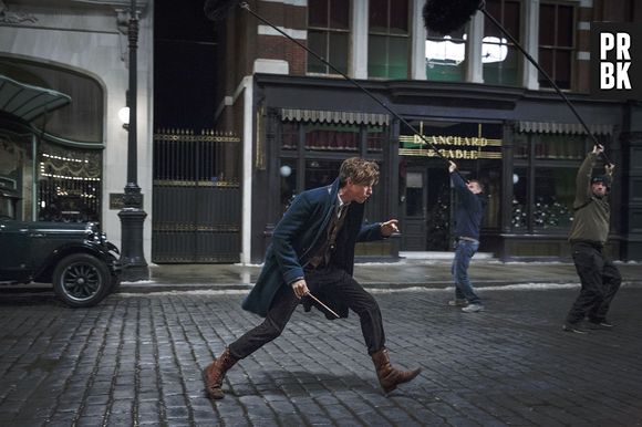 Les Animaux Fantastiques : future trilogie au cinéma