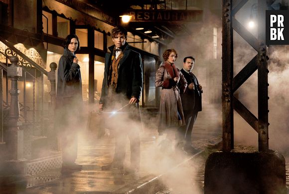 Les Animaux Fantastiques : future trilogie au cinéma